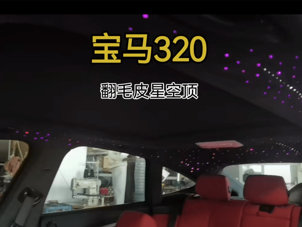 宝马320麻豆啪啪啪免费观看翻毛皮星空顶